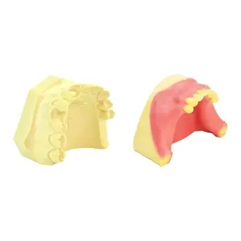 Dantų Implantai Praktikos Modelį, Viršutinio Žandikaulio Sinuso Kėlimo Pratimai Modelis Praktikos Modelį, Stomatologas Priemonė, Dantų Priemonė 18