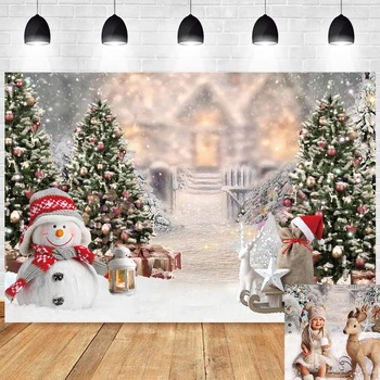 Kalėdų Žiemos Foto Fonas Snaigės Portretas, Medienos Durys, Su Gimtadieniu Šalies Žiemos Sniego Dovana Fotografijos Fone Reklama 15
