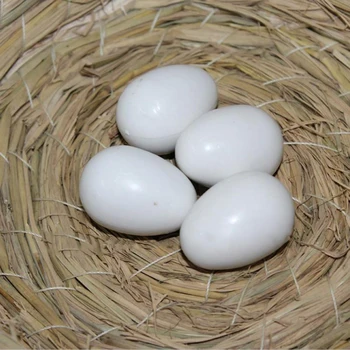 Lenktynių Naminiams Balandžiams Padėti Balandžiai Liukas Kietas Netikrą 10VNT Balta Kieta medžiaga, Plastikiniai Kiaušiniai Balandžių Kiaušiniai Manekeno Netikrą Kiaušiniai